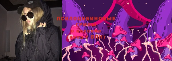 а пвп мука Няндома