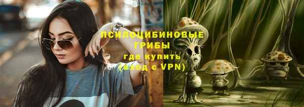 а пвп мука Няндома