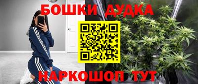 ECSTASY Кингисепп