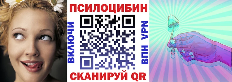 купить  сайты  Хасавюрт  Галлюциногенные грибы Psilocybe 