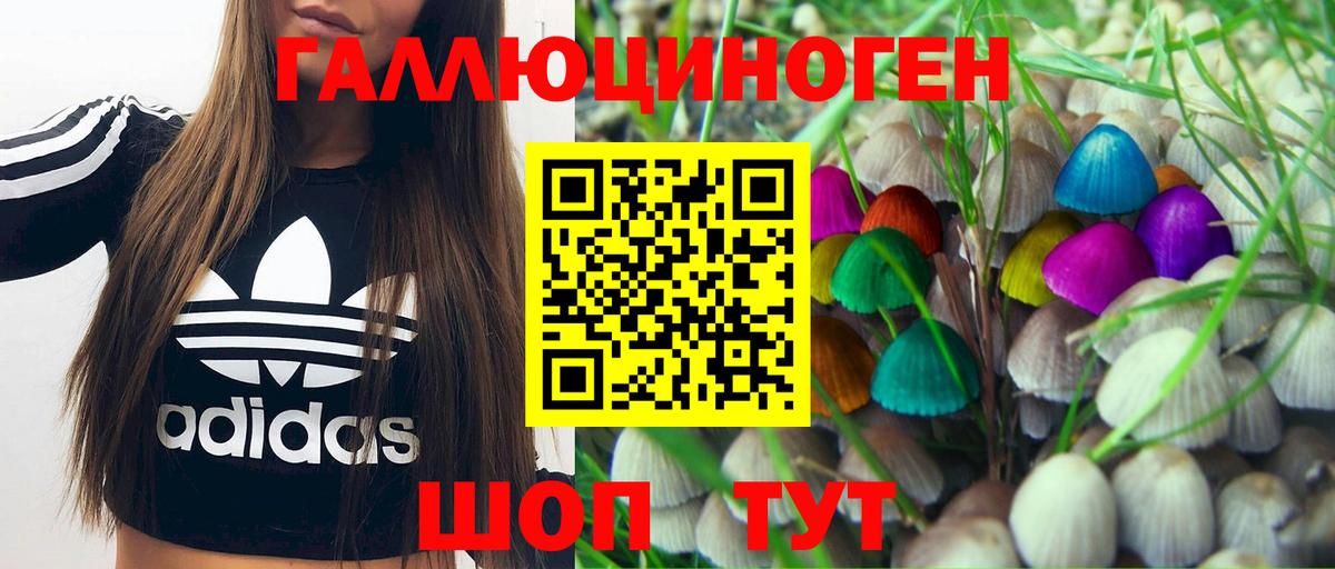 Галлюциногенные грибы GOLDEN TEACHER  Вход с VPN  Хасавюрт 